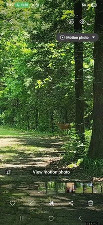 $599,000 | 1227 County Road 3327, Omaha, TX 75571