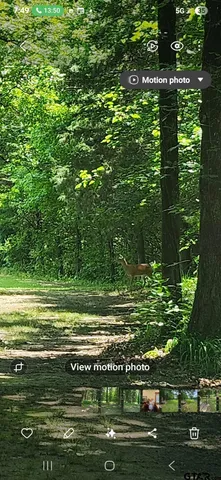 $599,000 | 1227 County Road 3327, Omaha, TX 75571