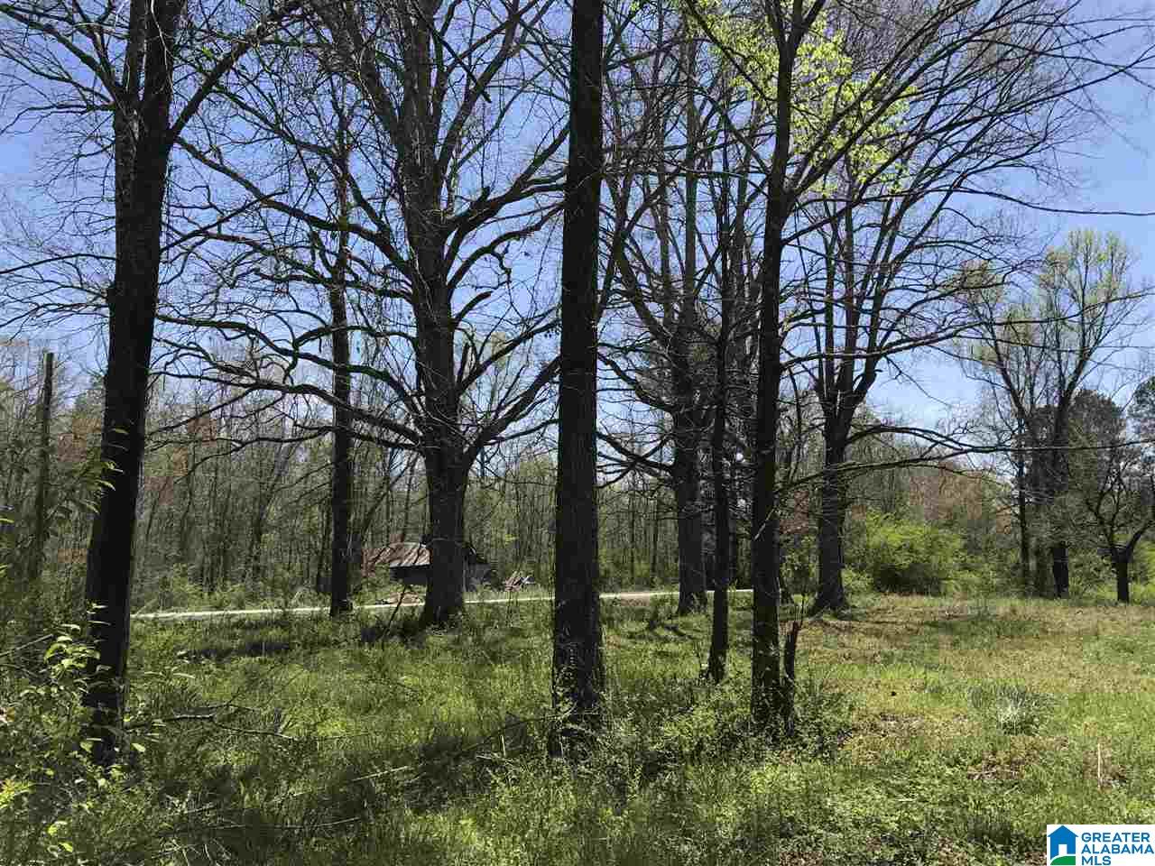 4133 Roy Webb Road, Unit 1 Jacksonville, AL 36265 - Photo 37 of 40