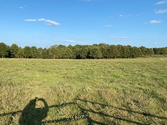 0 Dees Road Elk Creek, MO 65464 - Photo 1 of 1 1 (1)