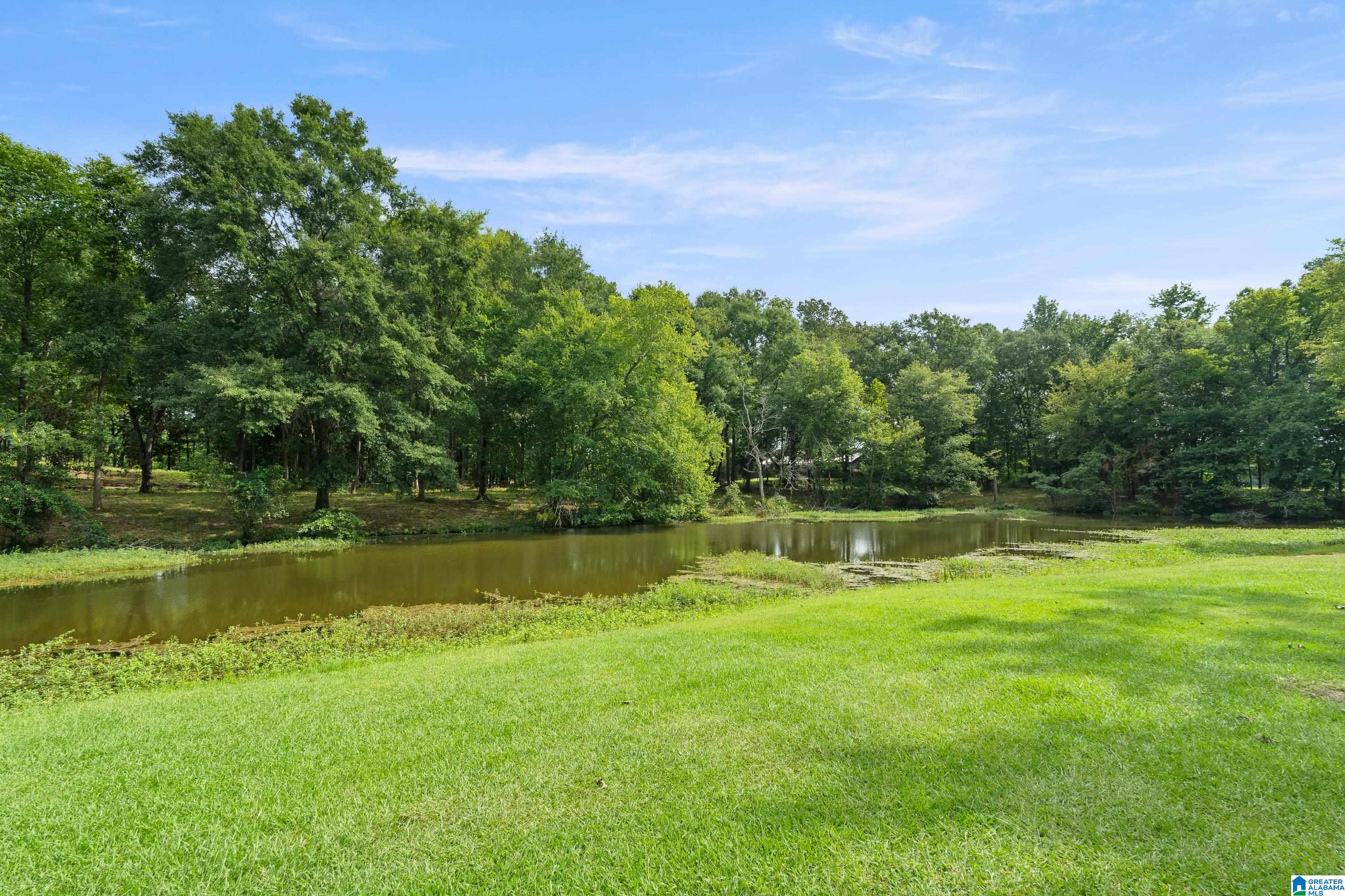 2442 Hebb Road Wilsonville, AL 35186 - Photo 54 of 64 Gallery Image 54