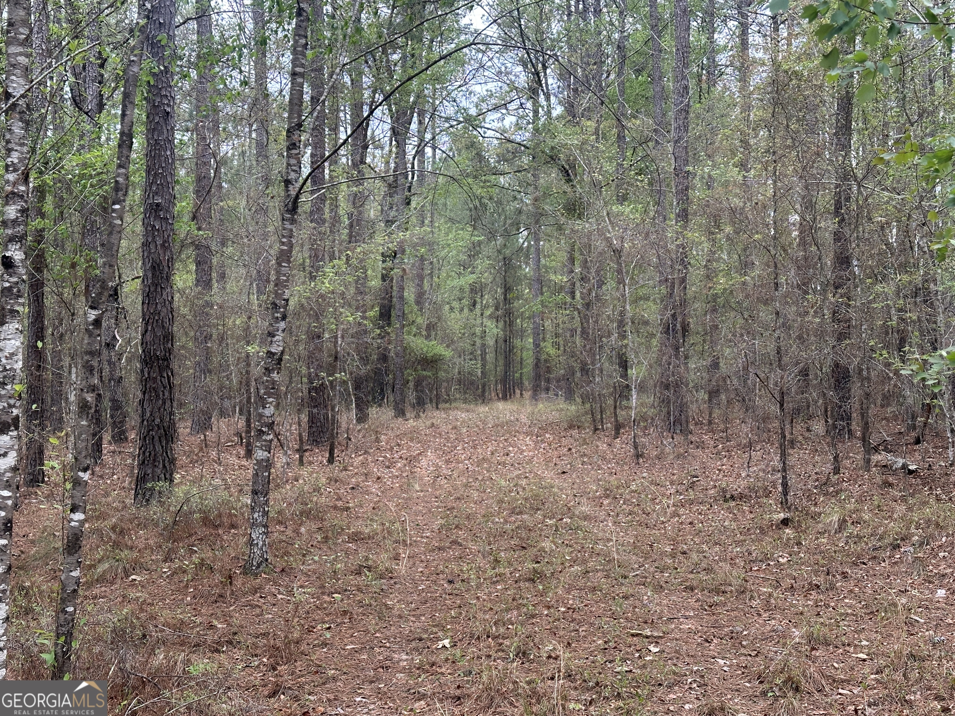0 Fred Chance Road Millen, GA 30442 - Photo 18 of 19