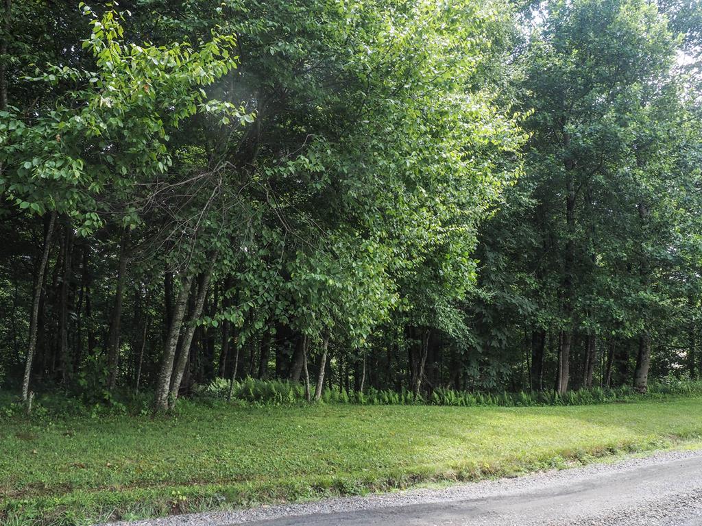 Tbd County Top Road, Unit 37 Fancy Gap, VA 24328 - Photo 1 of 4 Gallery Image 1