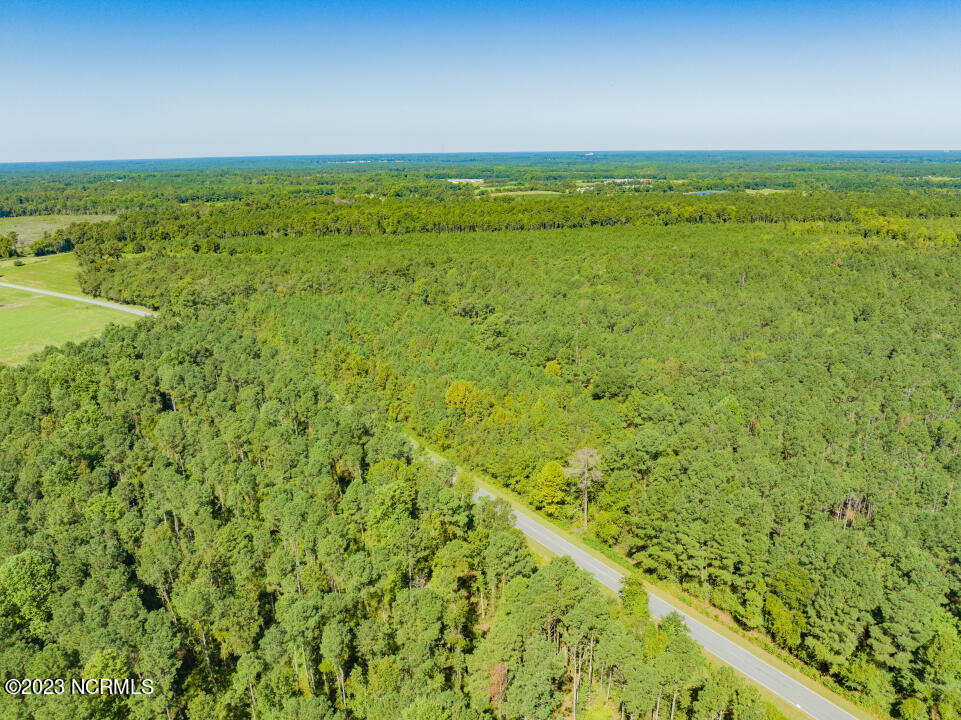 0 Trinity Church Road Magnolia, NC 28453 - Photo 5 of 47 5