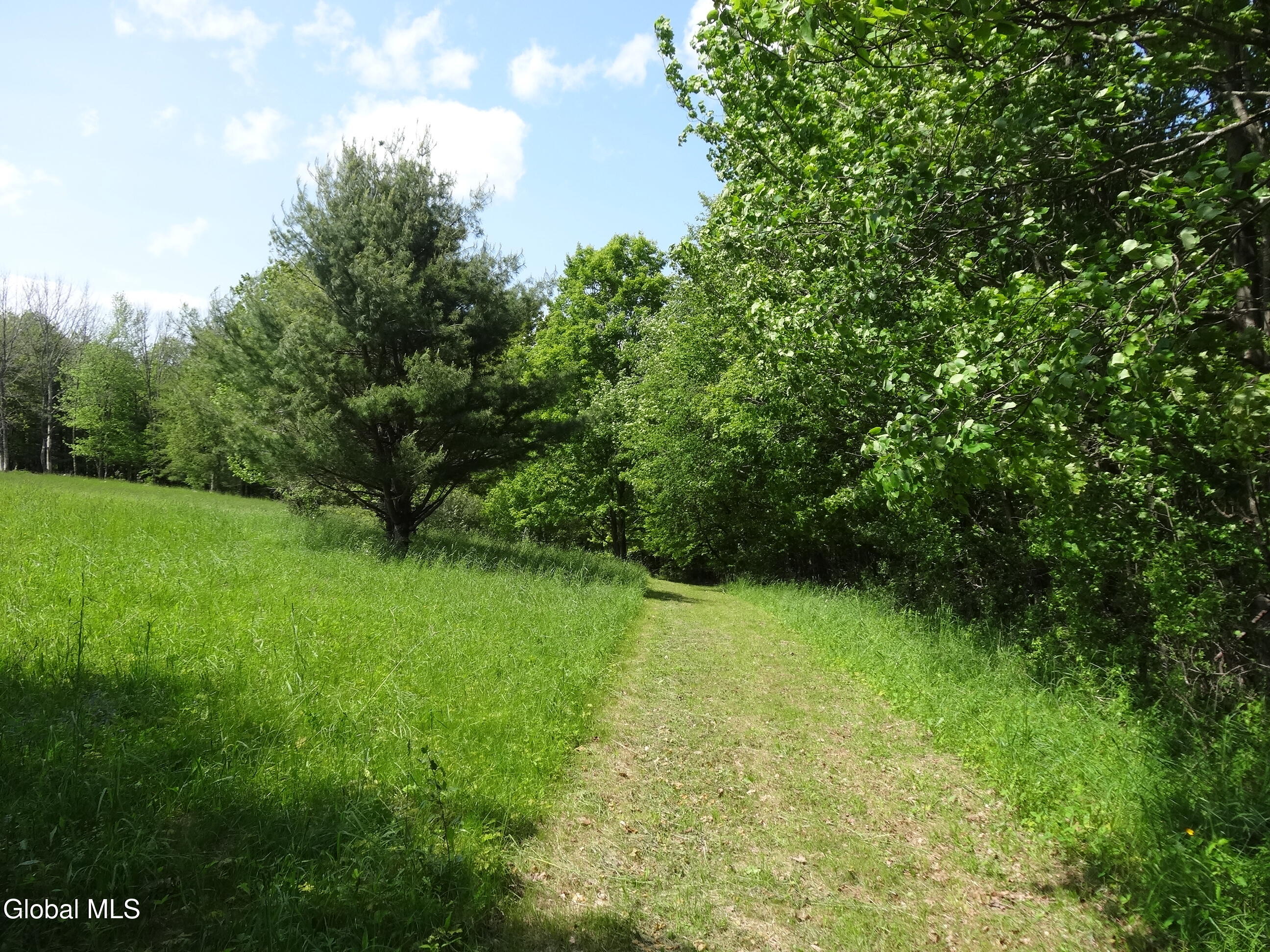 48 East Hill Road Berne, NY 12122 - Photo 35 of 55 DSC04905