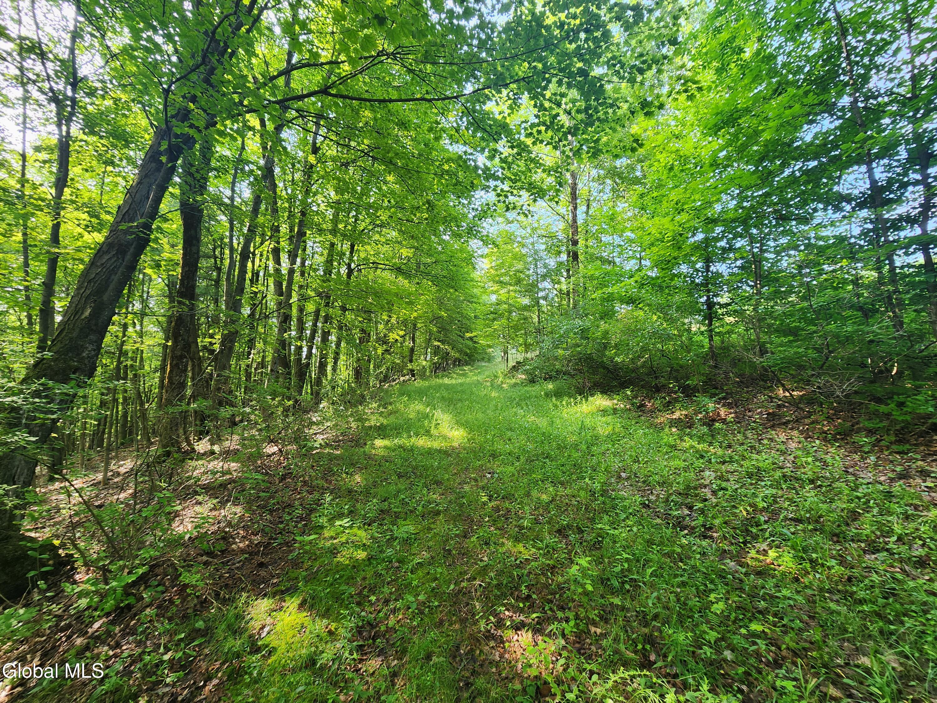 48 East Hill Road Berne, NY 12122 - Photo 36 of 55 20250715_091401