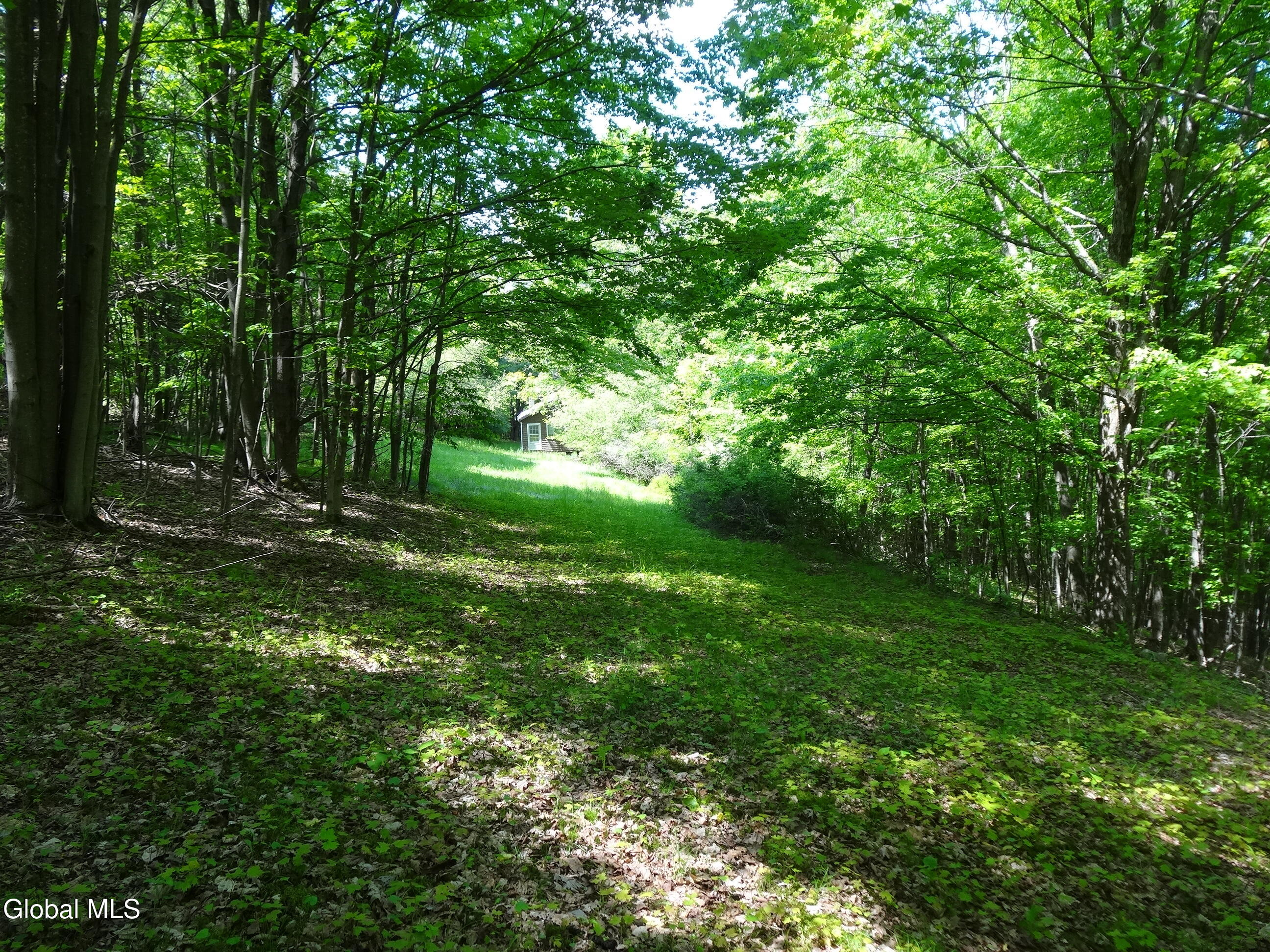 48 East Hill Road Berne, NY 12122 - Photo 47 of 55 DSC04909