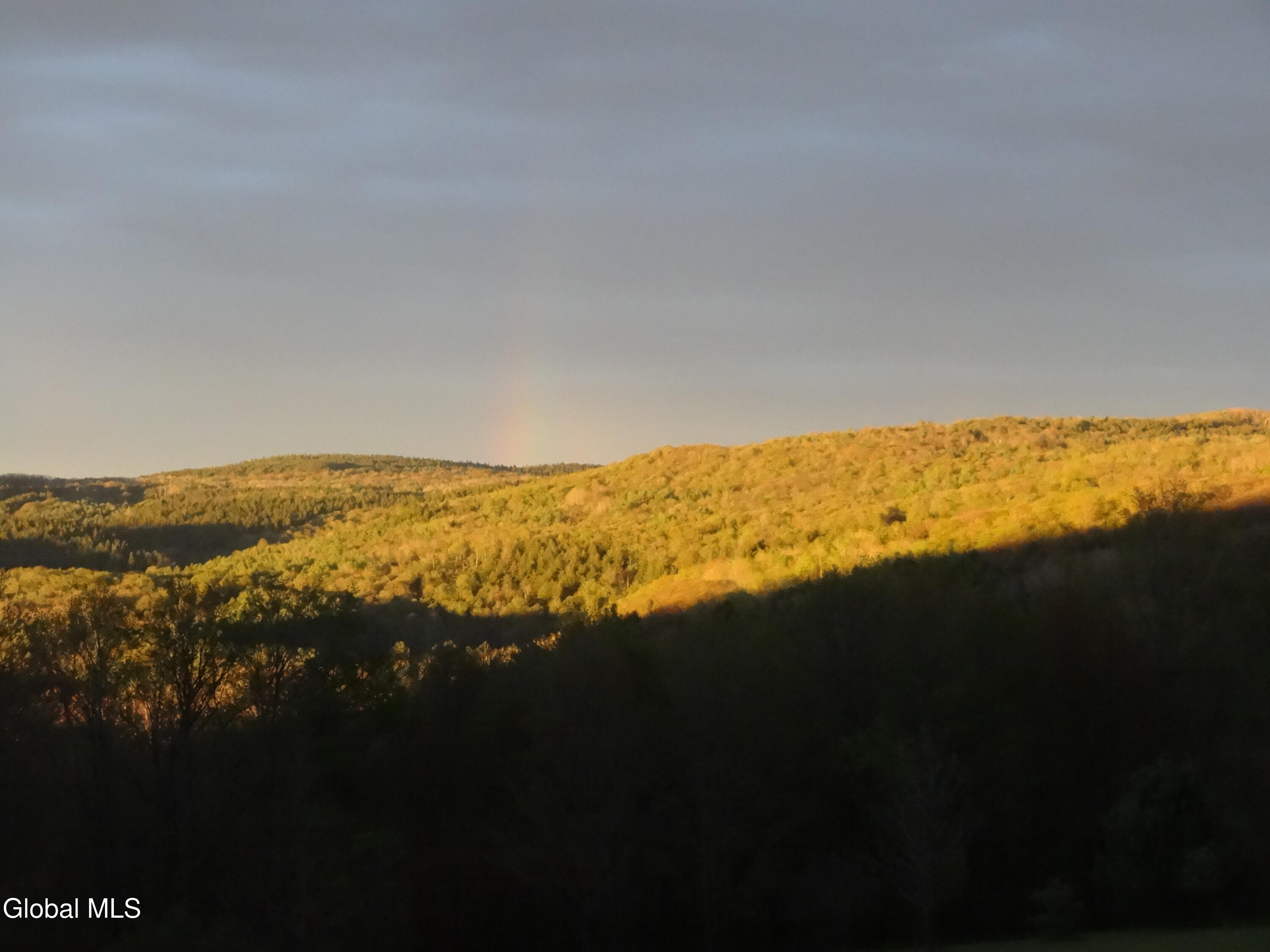 48 East Hill Road Berne, NY 12122 - Photo 52 of 55 DSC01070