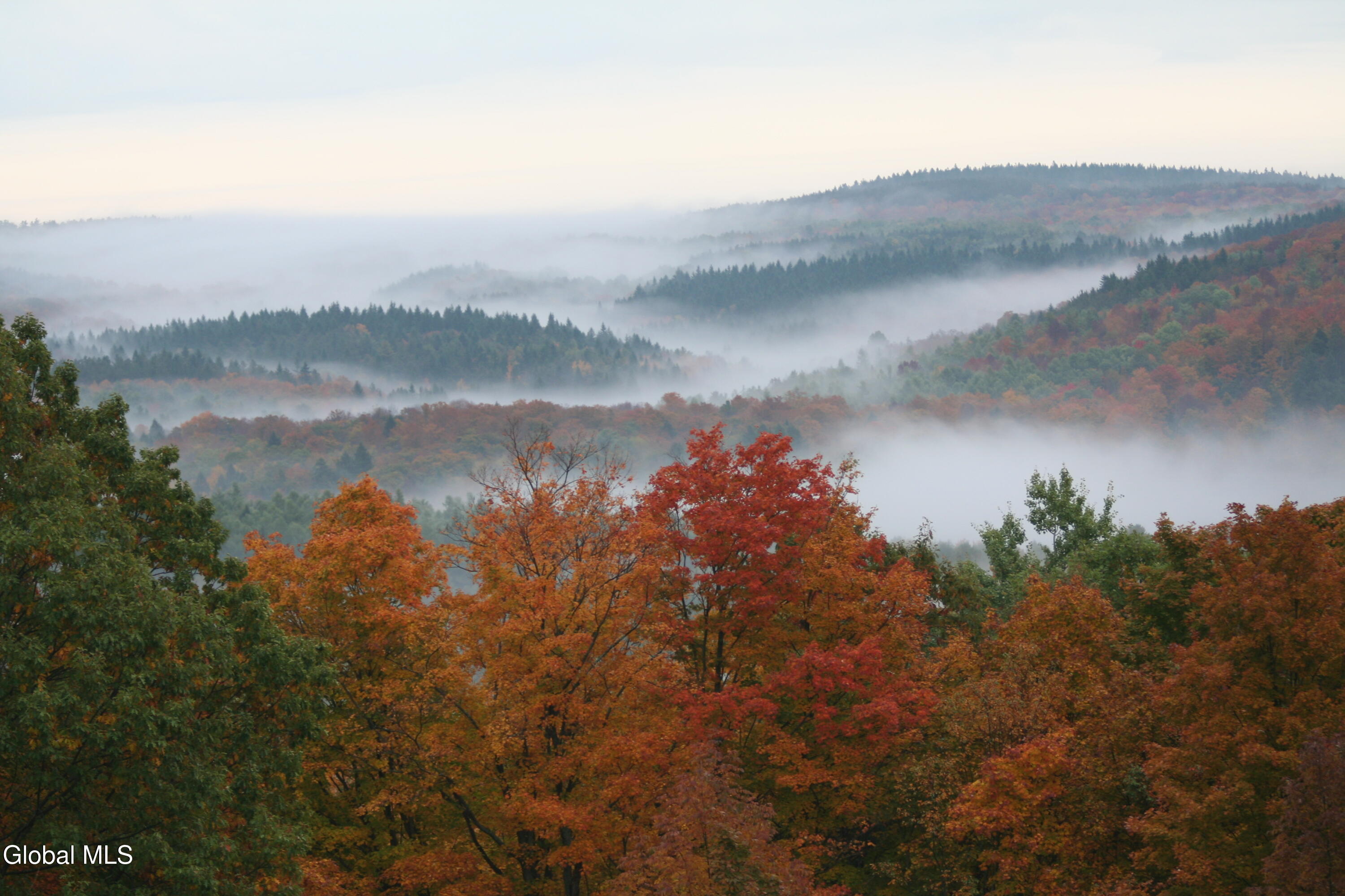 48 East Hill Road Berne, NY 12122 - Photo 53 of 55 IMG_2155