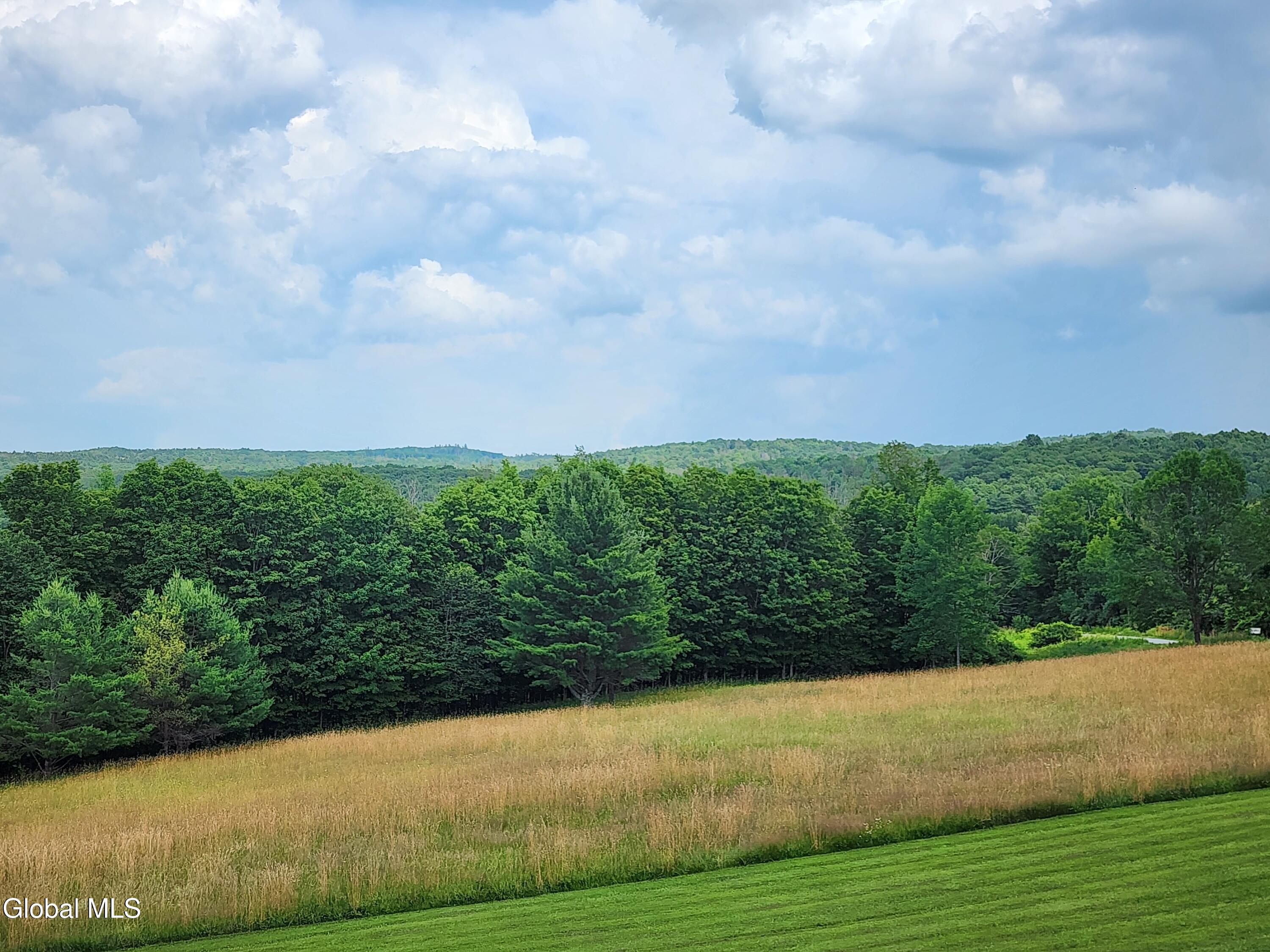 48 East Hill Road Berne, NY 12122 - Photo 7 of 55 20250711_154629