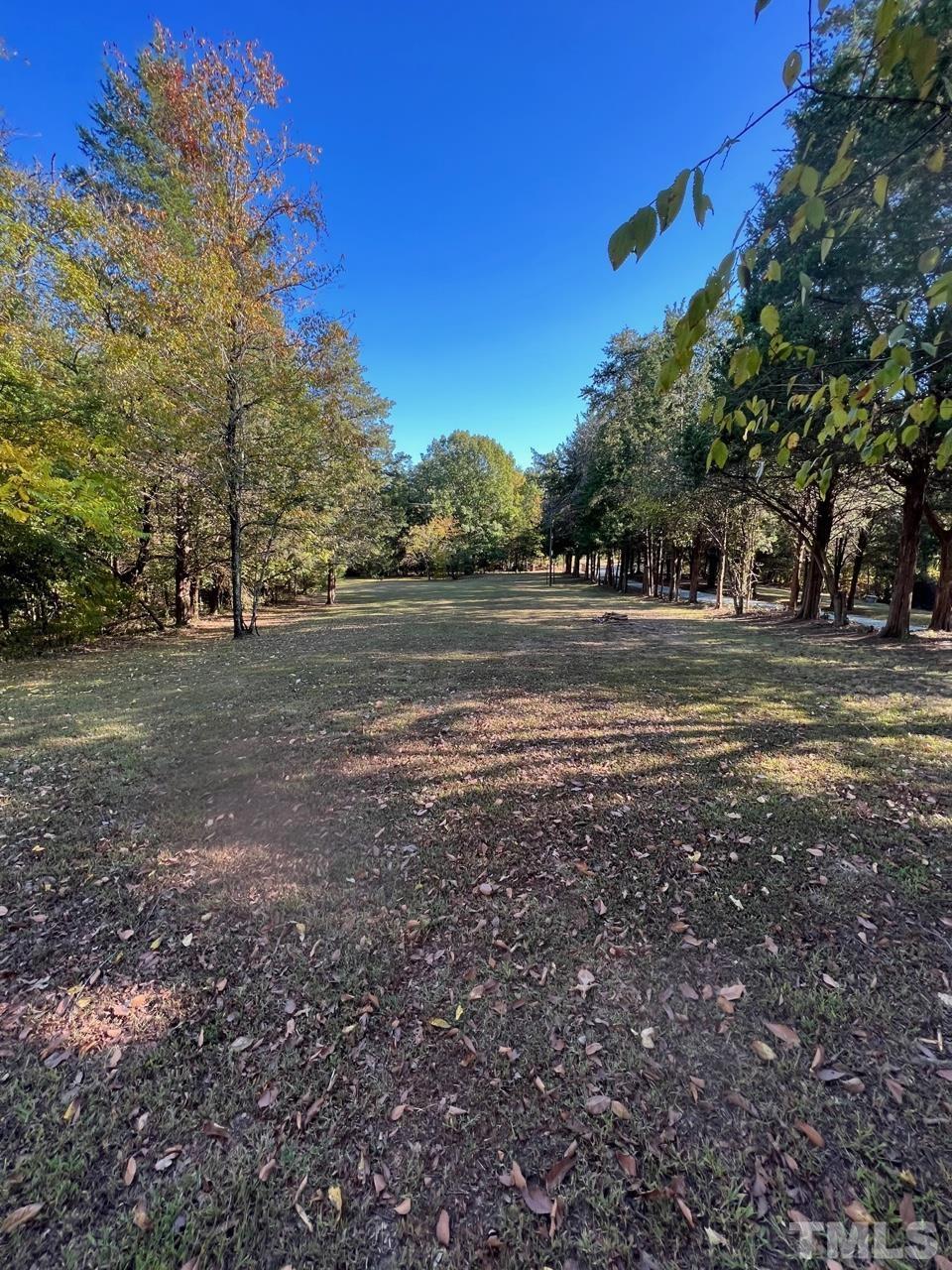 110 Keyser Lane Roxboro, NC 27574 - Photo 58 of 62 a big yard with lots of green space