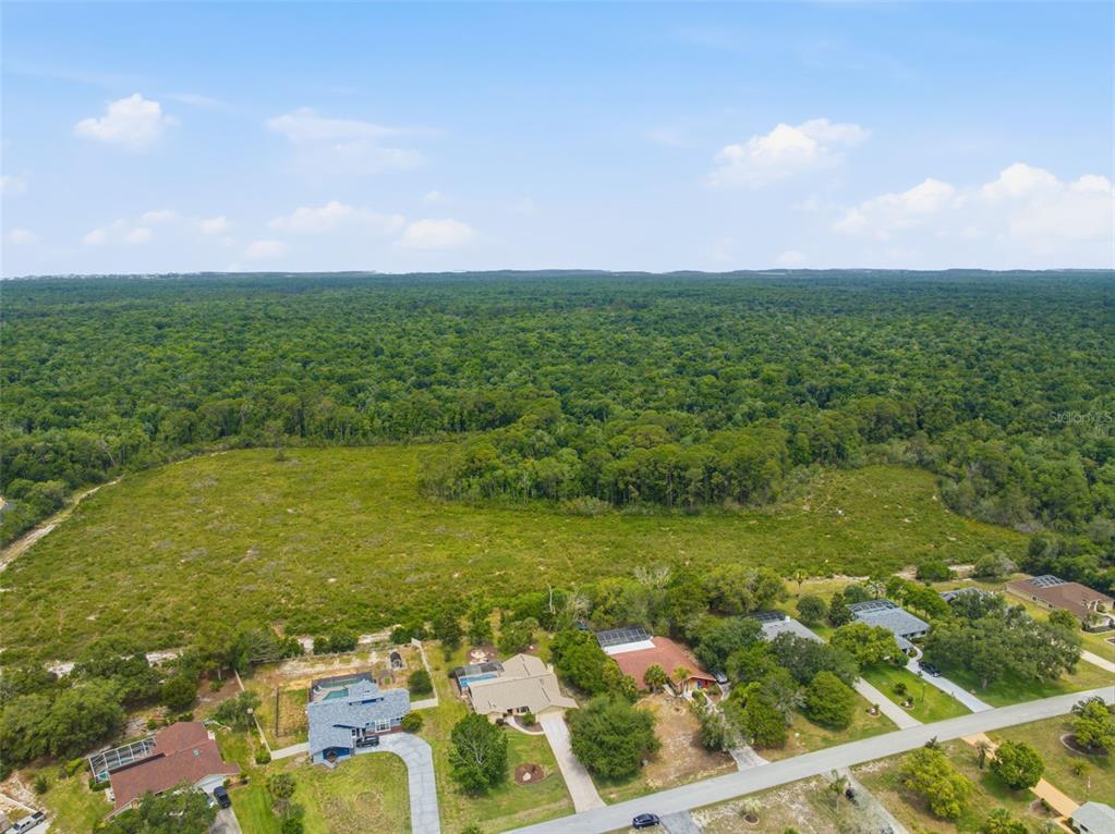 5227 Suwannee Road Weeki Wachee, FL 34607 - Photo 54 of 62