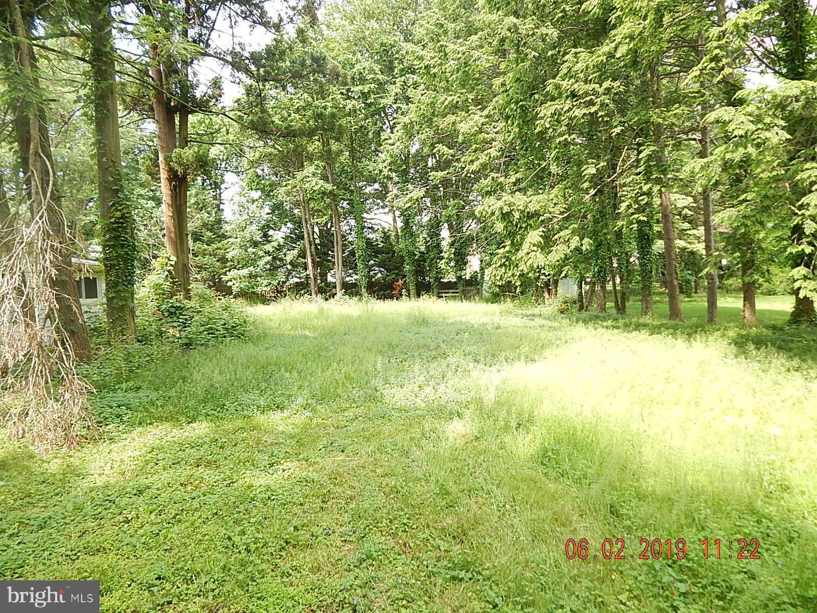 4 South Mill Road Princeton Junction, NJ 08550 - Photo 39 of 41