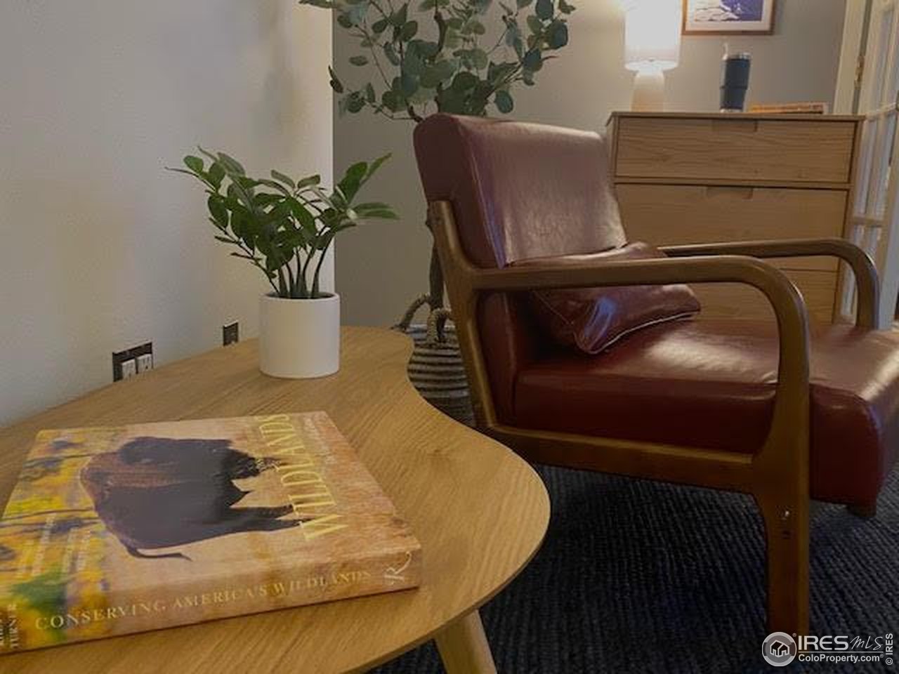 1111 Maxwell Avenue, Unit 109 Boulder, CO 80304 - Photo 5 of 18