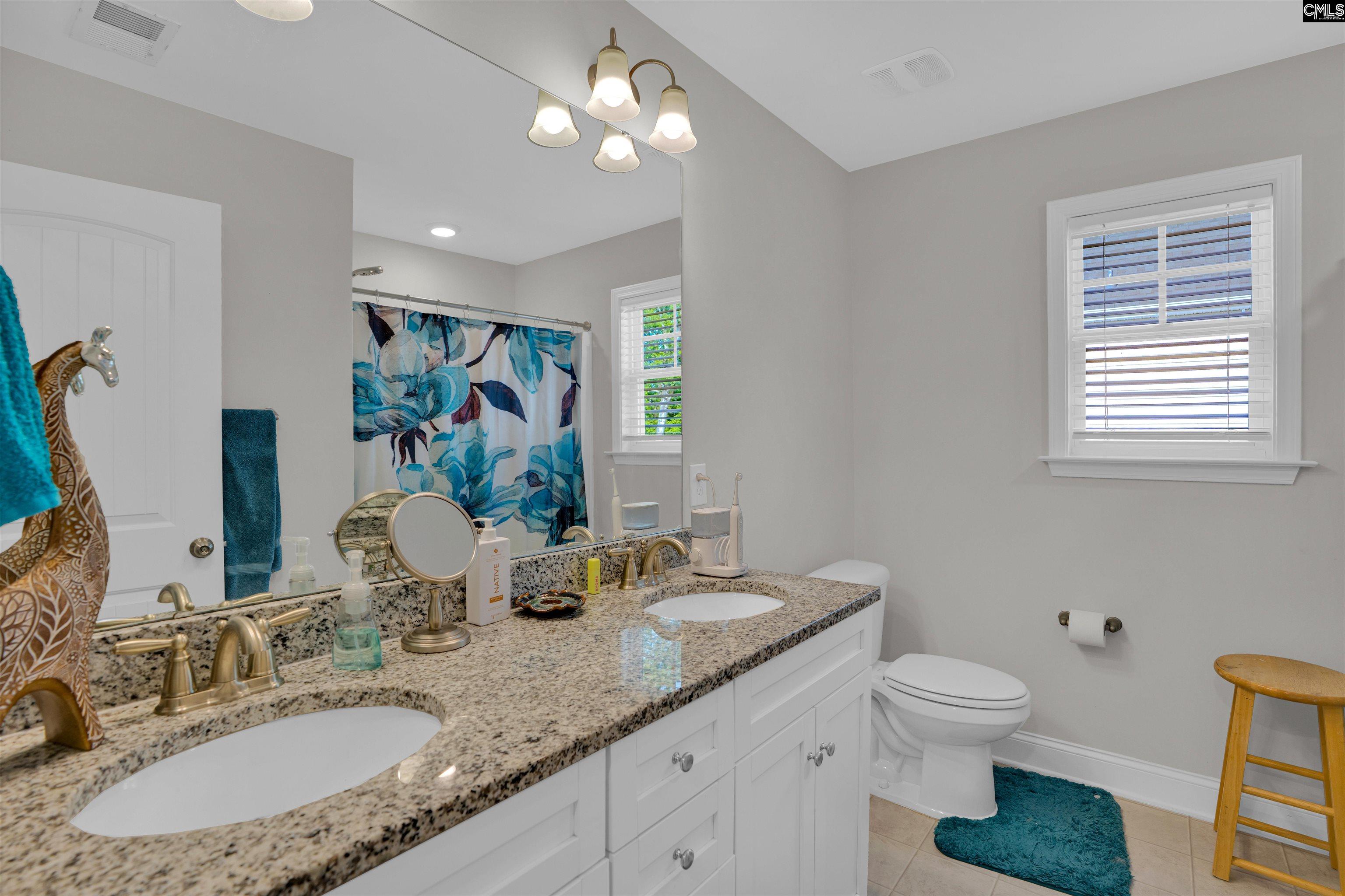 432 Thayer Street Chapin, SC 29036 - Photo 44 of 68