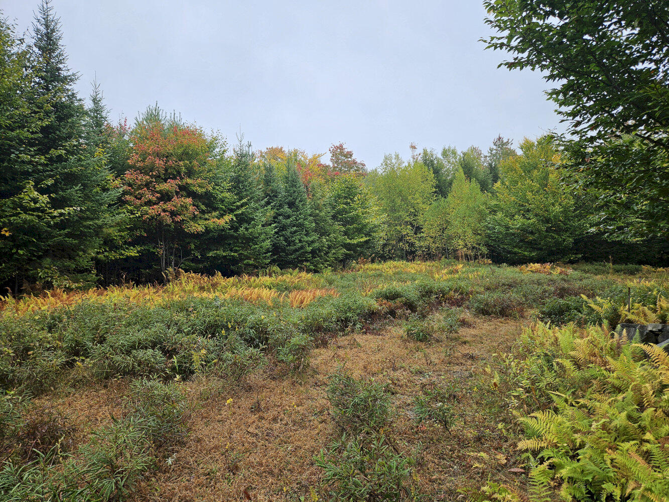 85 Loon Road Embden, ME 04958 - Photo 3 of 12 20250925_100716_result