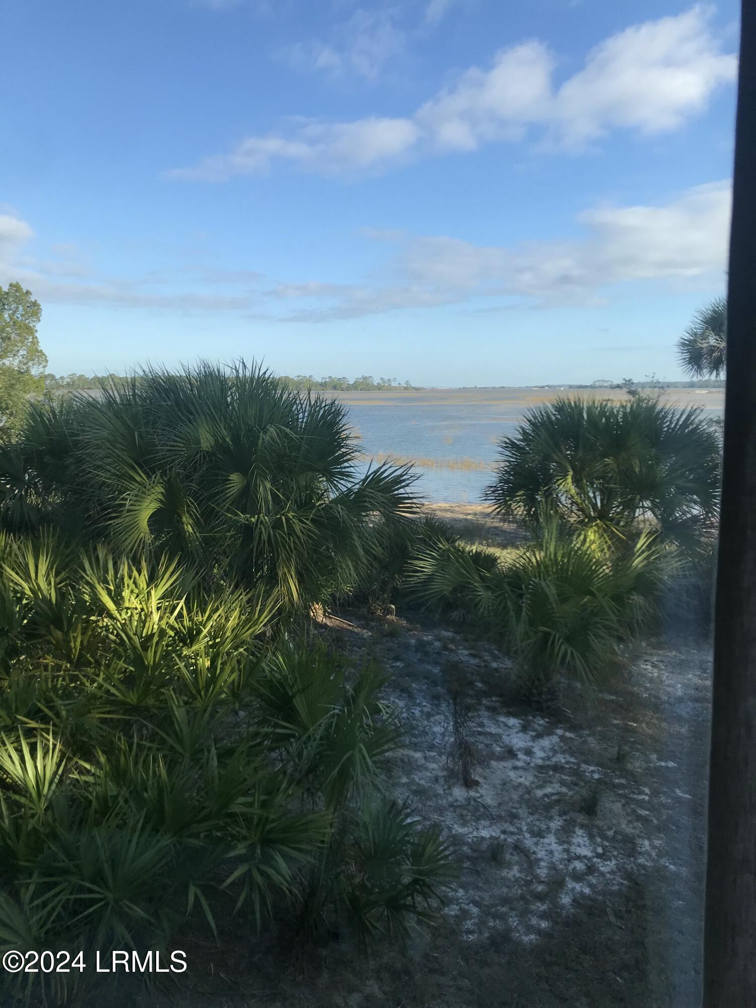 869 Fiddlers Ridge Road Fripp Island, SC 29920 - Photo 19 of 23 View from the house at high tide