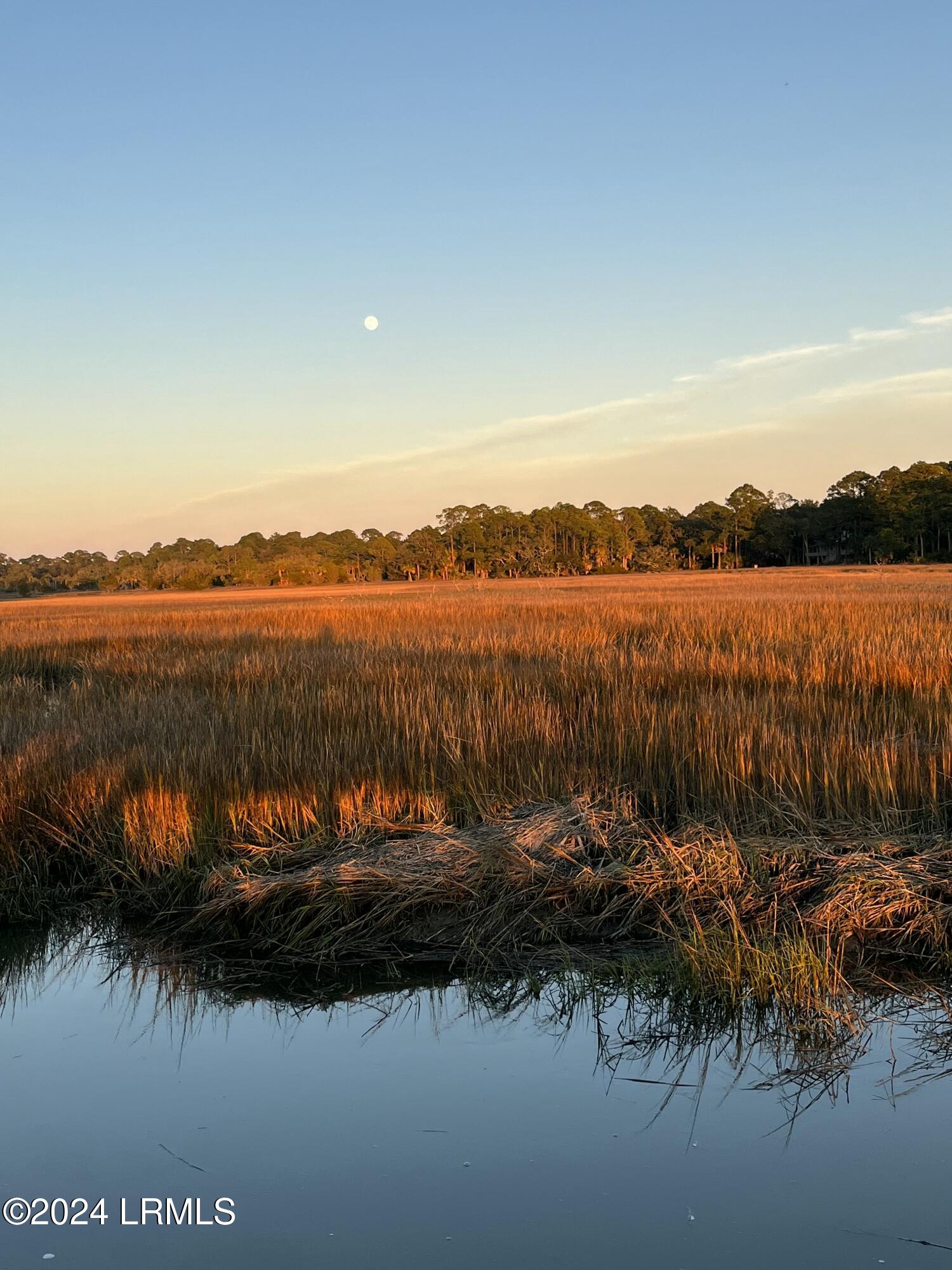 869 Fiddlers Ridge Road Fripp Island, SC 29920 - Photo 21 of 23 IMG_20241126_171349
