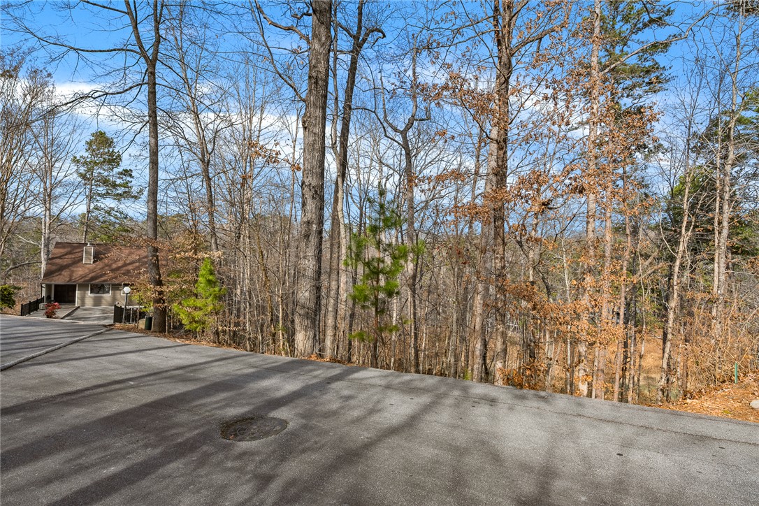 42 Channel Lane Salem, SC 29676 - Photo 16 of 23