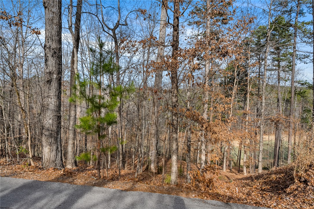 42 Channel Lane Salem, SC 29676 - Photo 3 of 23