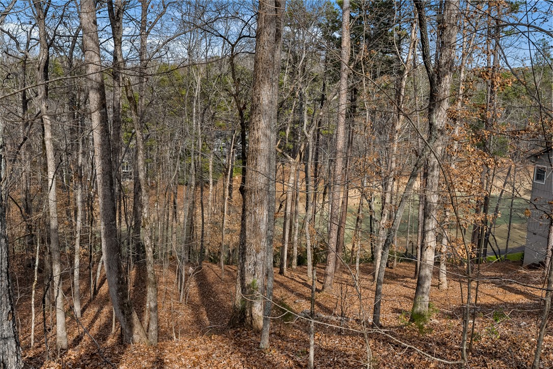 42 Channel Lane Salem, SC 29676 - Photo 4 of 23