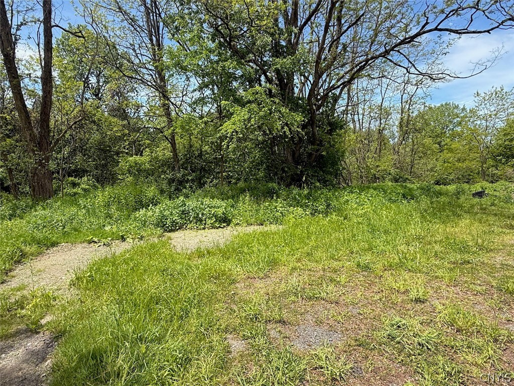 1559 County Rte 48 Sandy Creek, NY 13083 - Photo 4 of 29
