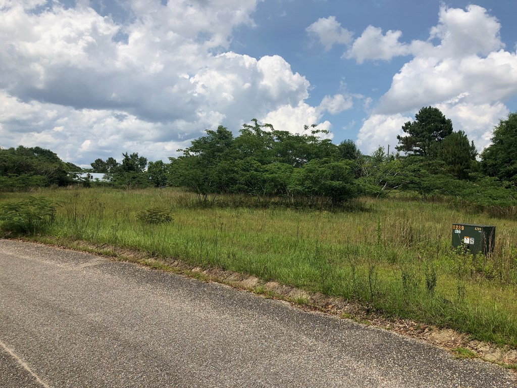 Lot 26 Ridge Drive Headland, AL 36345 - Photo 2 of 3