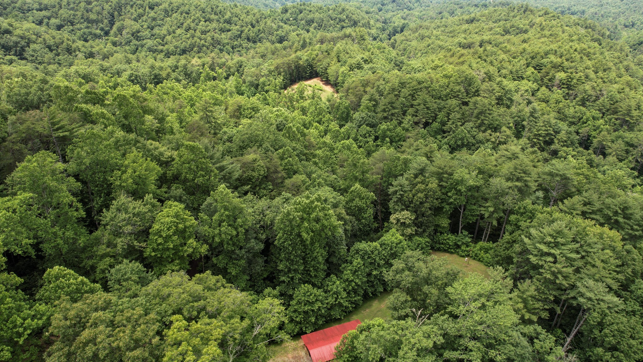 201 Campbell Branch Road Reliance, TN 37369 - Photo 77 of 99