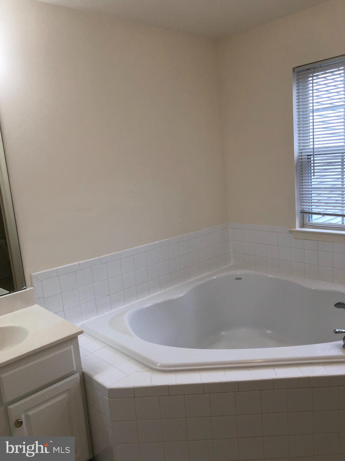 83 Windsor Pond Road West Windsor, NJ 08550 - Photo 17 of 22 Master Bath w/soaking tub