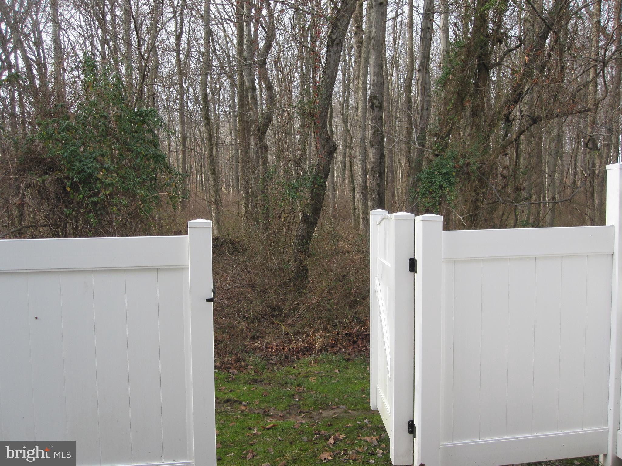 83 Windsor Pond Road West Windsor, NJ 08550 - Photo 7 of 22 Exterior Back Woods