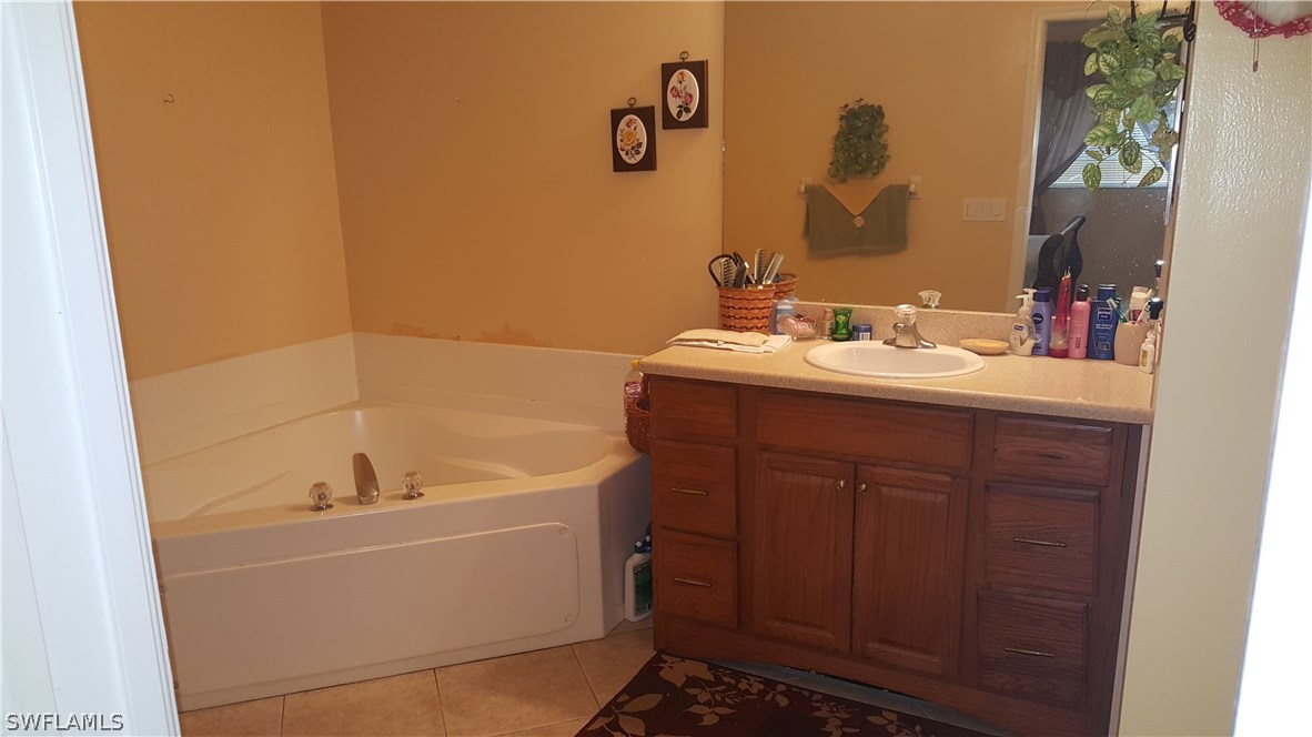 9041 Buckingham Road Fort Myers, FL 33905 - Photo 9 of 11 a bathroom with a sink and a bathtub