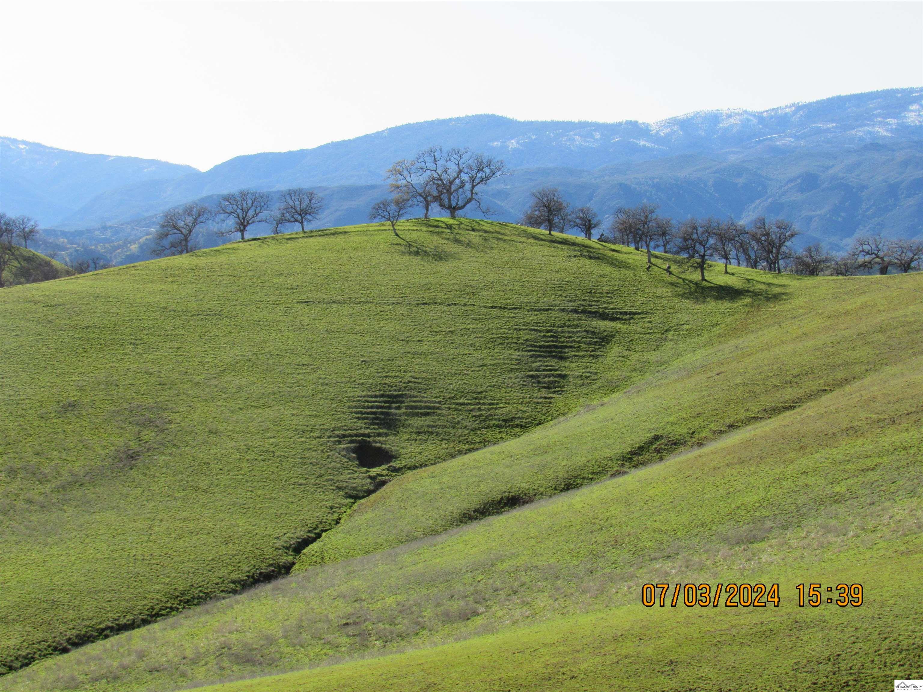 12755 Mccarty Creek Road Red Bluff, CA 96074 - Photo 13 of 28