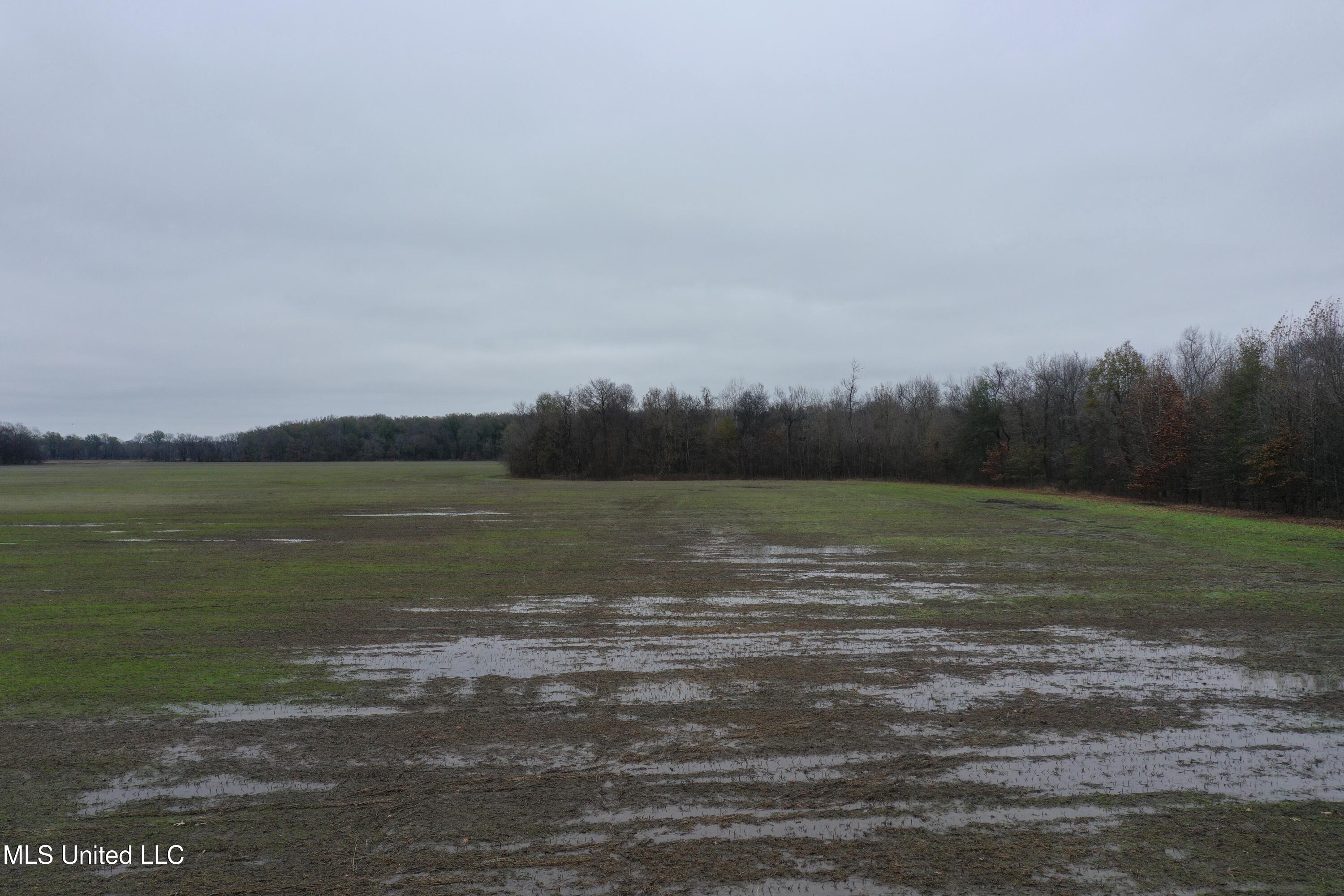 2000 Walnut Lake Road Dundee, MS 38626 - Photo 6 of 34 DJI_0701