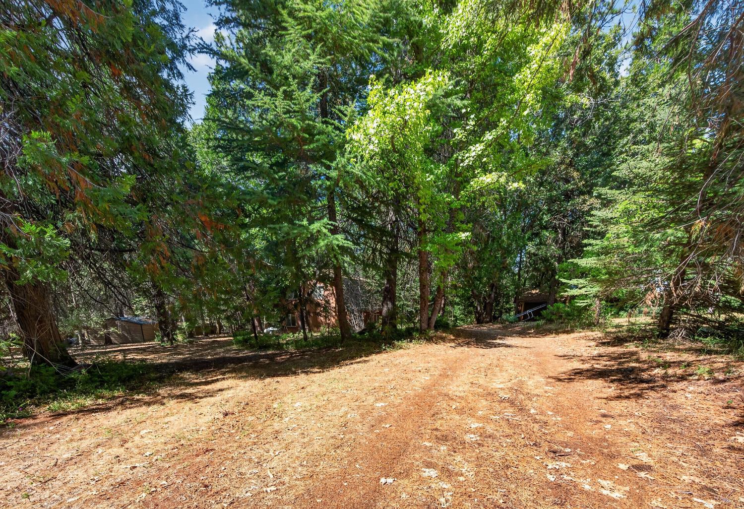 5595 Reservoir Road Georgetown, CA 95634 - Photo 24 of 38 Gallery Image 24