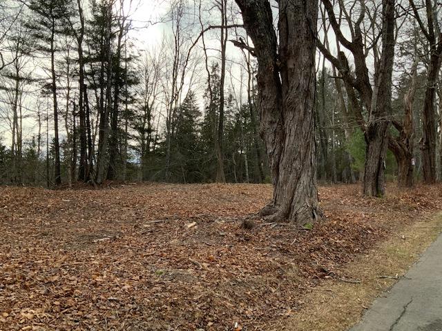 0 Main Road Islesboro, ME 04848 - Photo 16 of 44 MainRd2