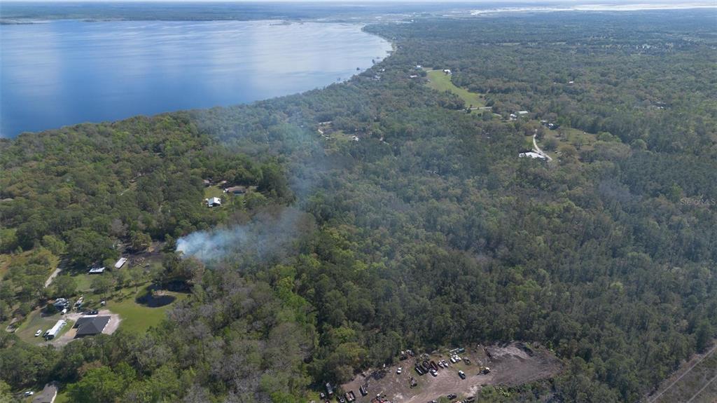 Jungle Road Geneva, FL 32732 - Photo 16 of 21 a view of a dry yard