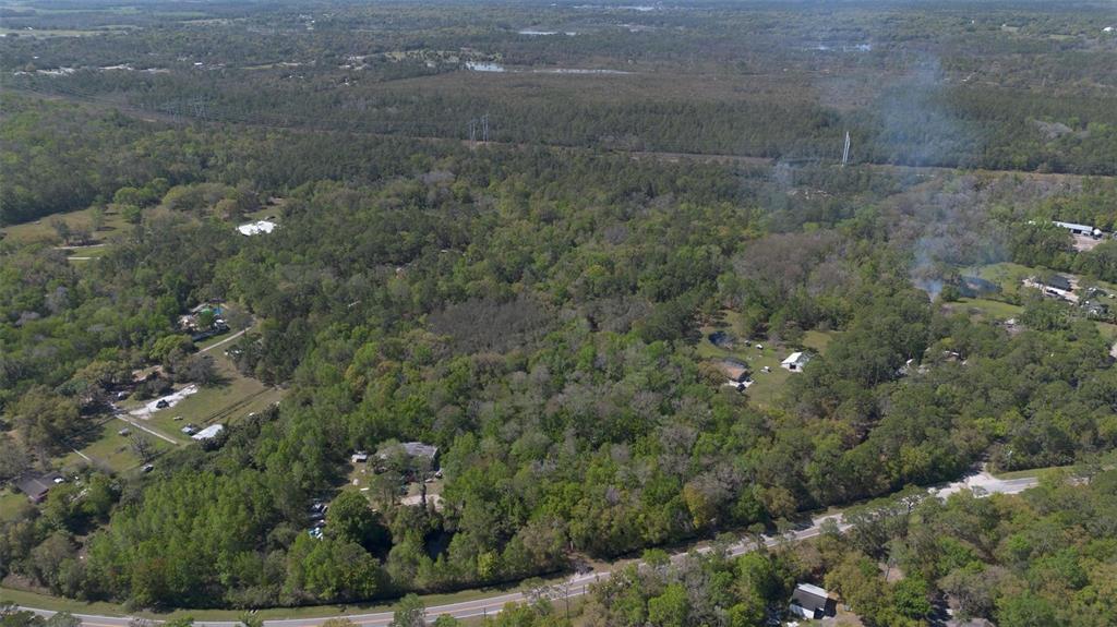Jungle Road Geneva, FL 32732 - Photo 20 of 21 a view of a yard