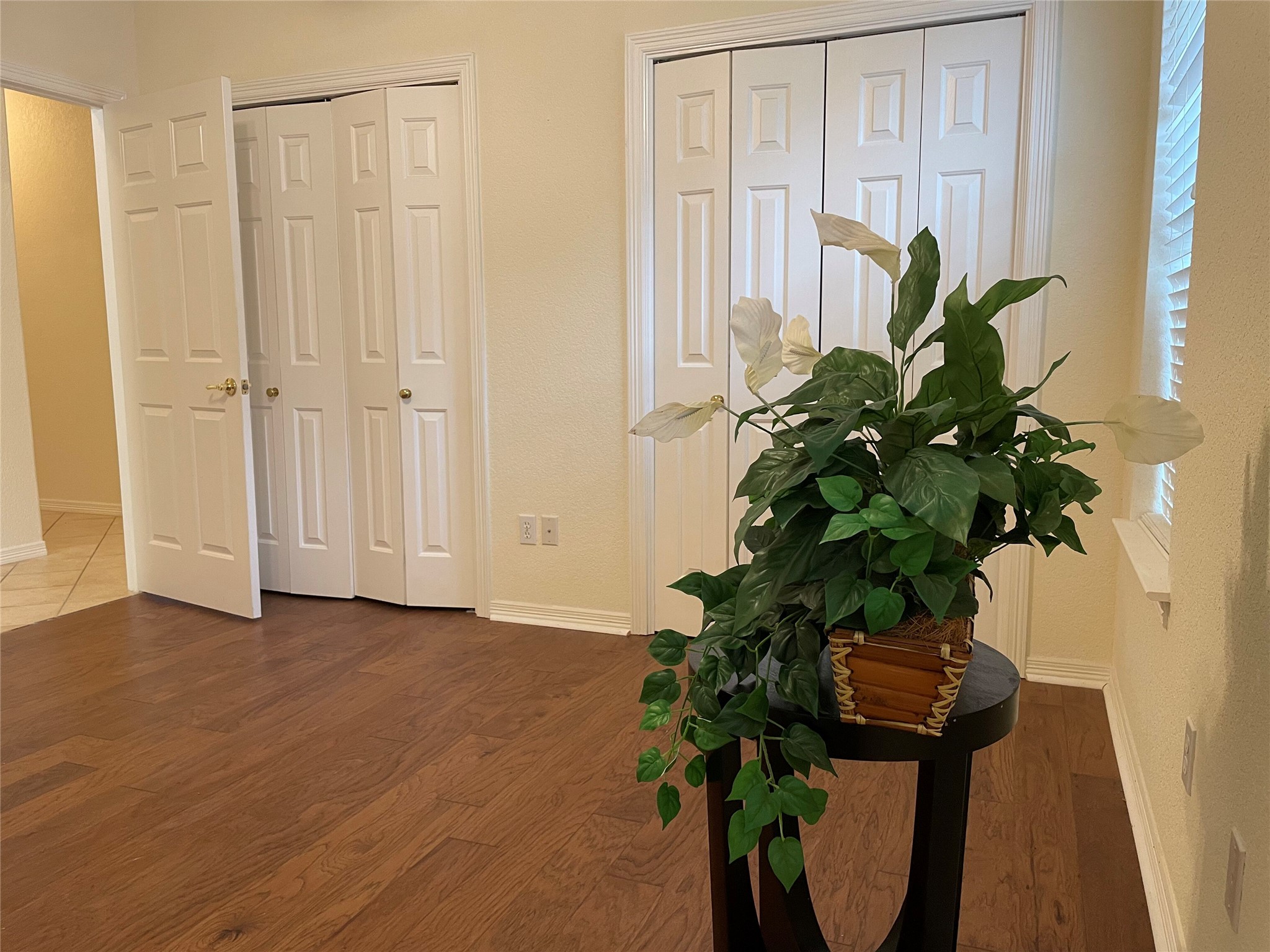 120 Brazos Drive Georgetown, TX 78628 - Photo 25 of 33 a view of a potted plant in a room