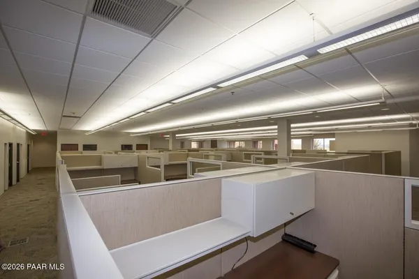 a view of a backyard with plants and swimming pool