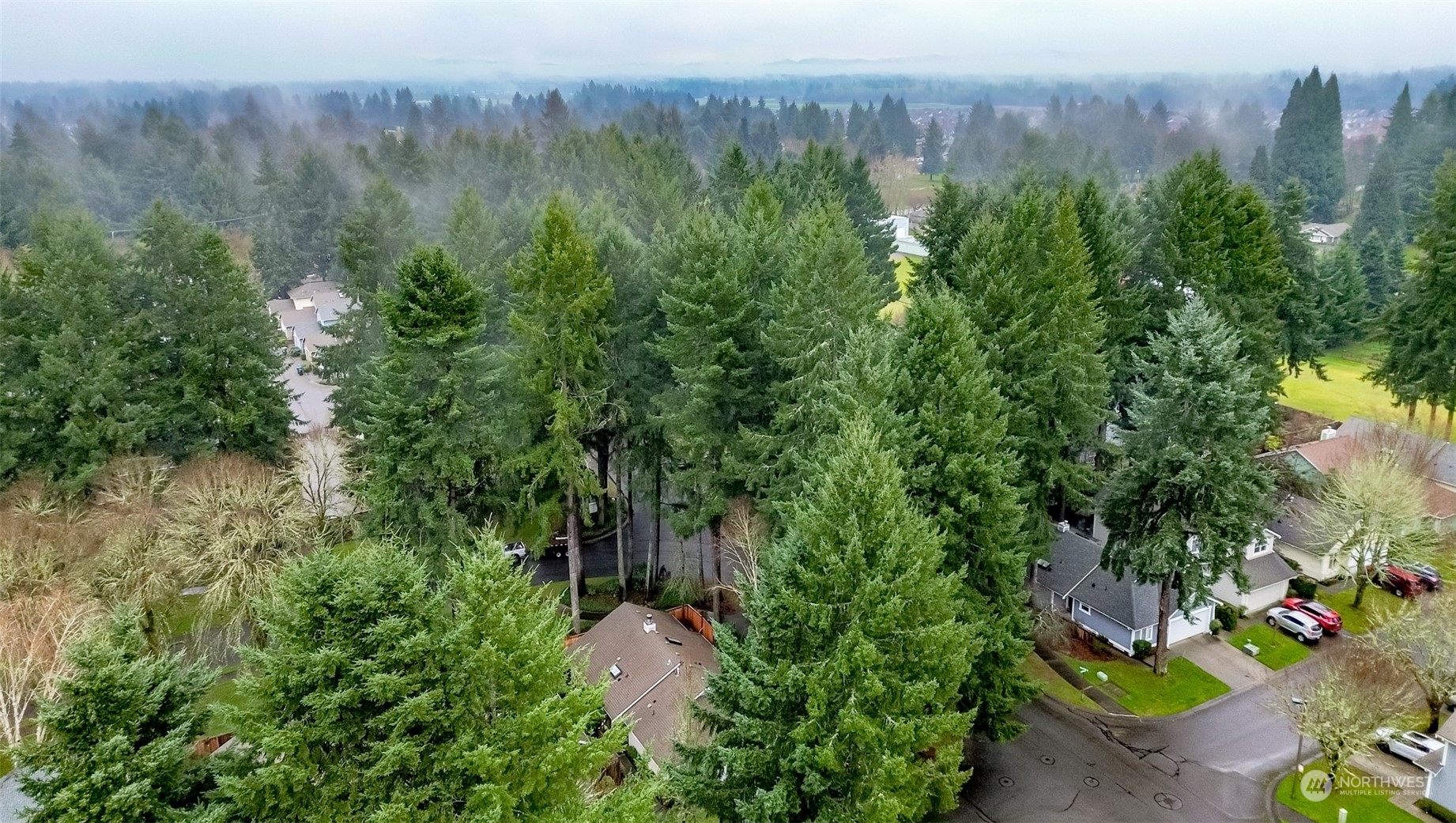 4566 Beckonridge Loop Southeast Lacey, WA 98513 - Photo 34 of 37 a view of a bunch of trees and bushes