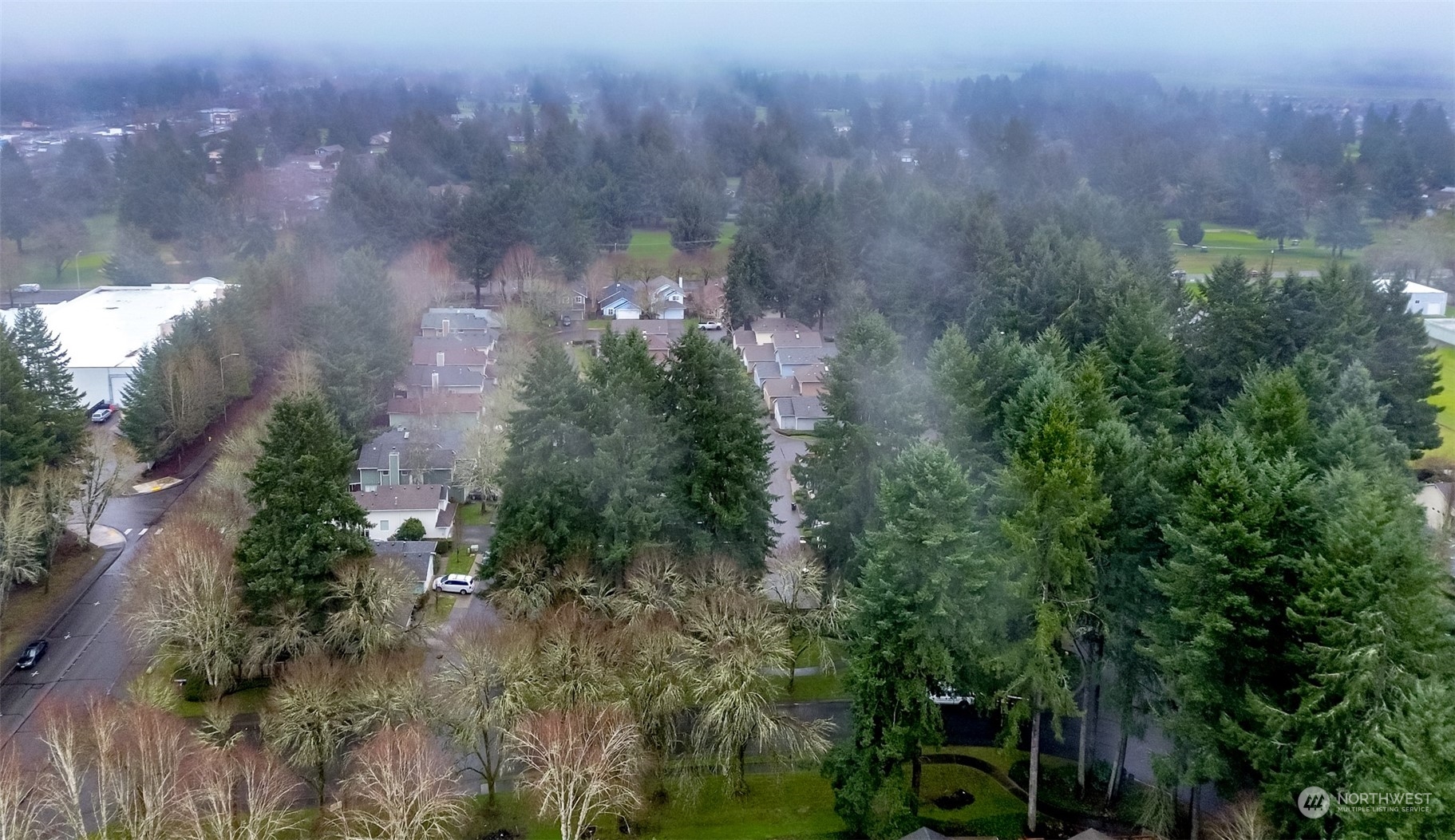 4566 Beckonridge Loop Southeast Lacey, WA 98513 - Photo 35 of 37 an aerial view of residential house with outdoor space and trees