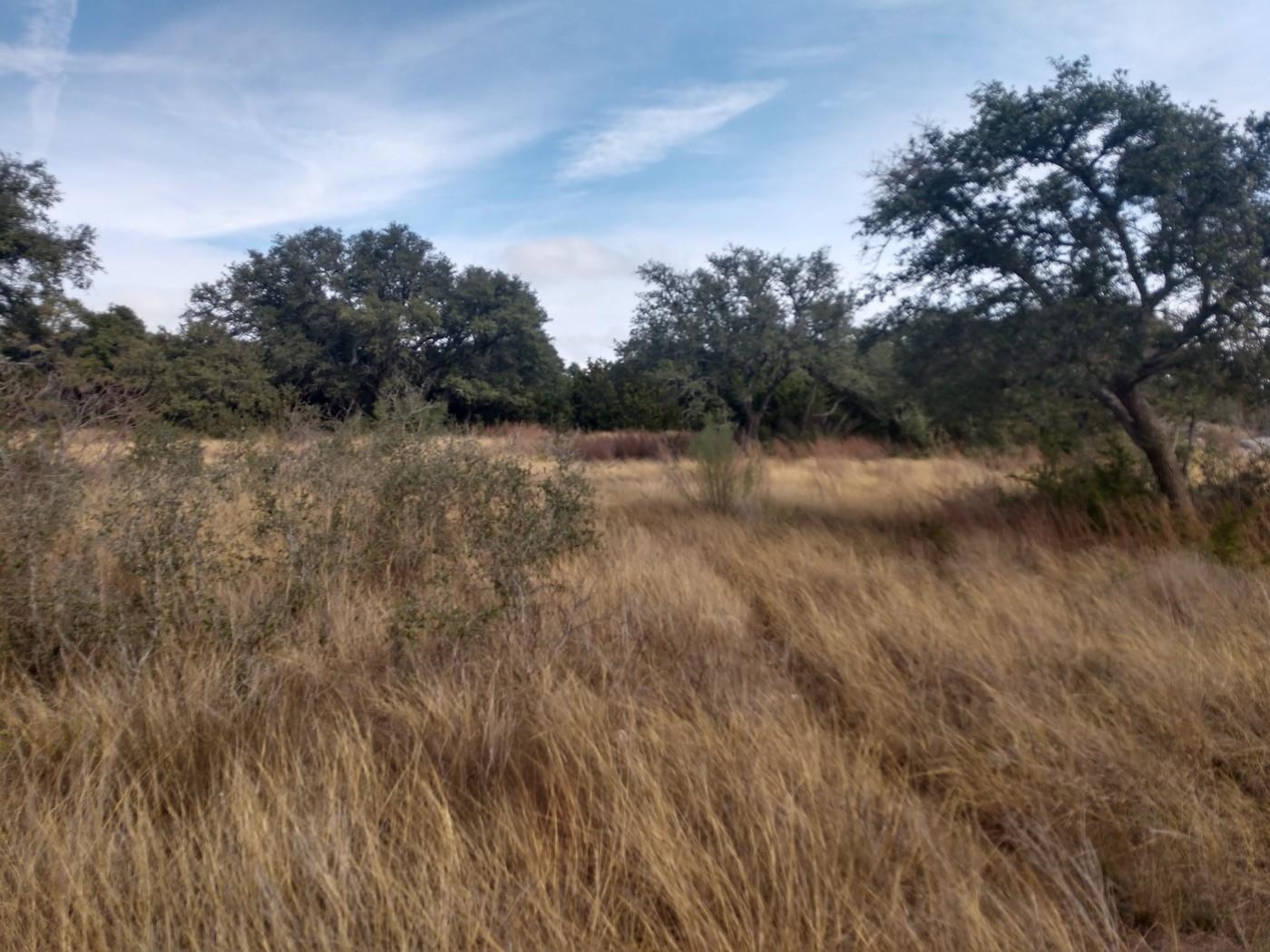 Saddle Ridge Dr Drive Bertram, TX 78605 - Photo 12 of 14 a view of lake with green space