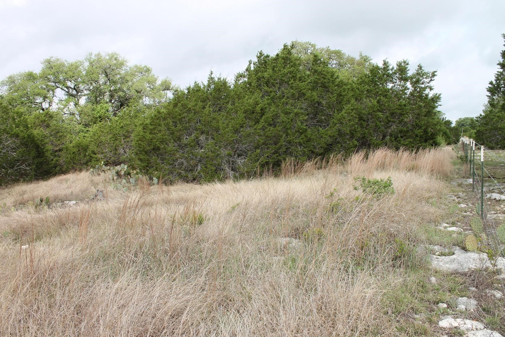 Saddle Ridge Dr Drive Bertram, TX 78605 - Photo 5 of 14 a view of a lake from a yard