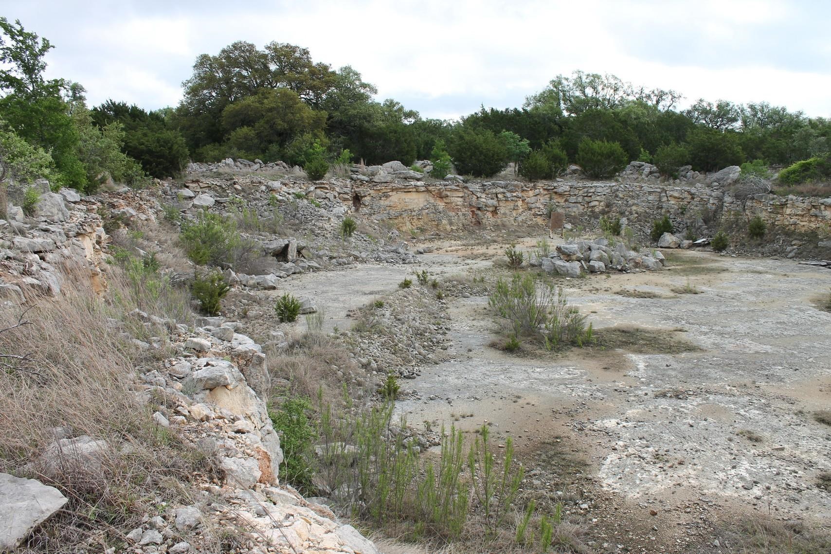 Saddle Ridge Dr Drive Bertram, TX 78605 - Photo 7 of 14 a view of a yard with a tree
