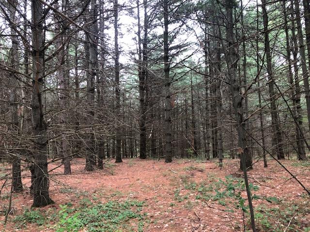 35-ac Wolf Lake Road Rhinelander, WI 54501 - Photo 24 of 32 Gallery Image 24