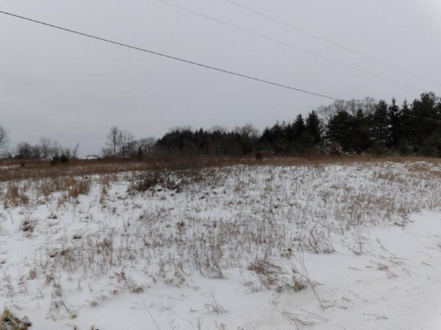 4195 Barber Road Hastings, MI 49058 - Photo 5 of 21 Additional Photo