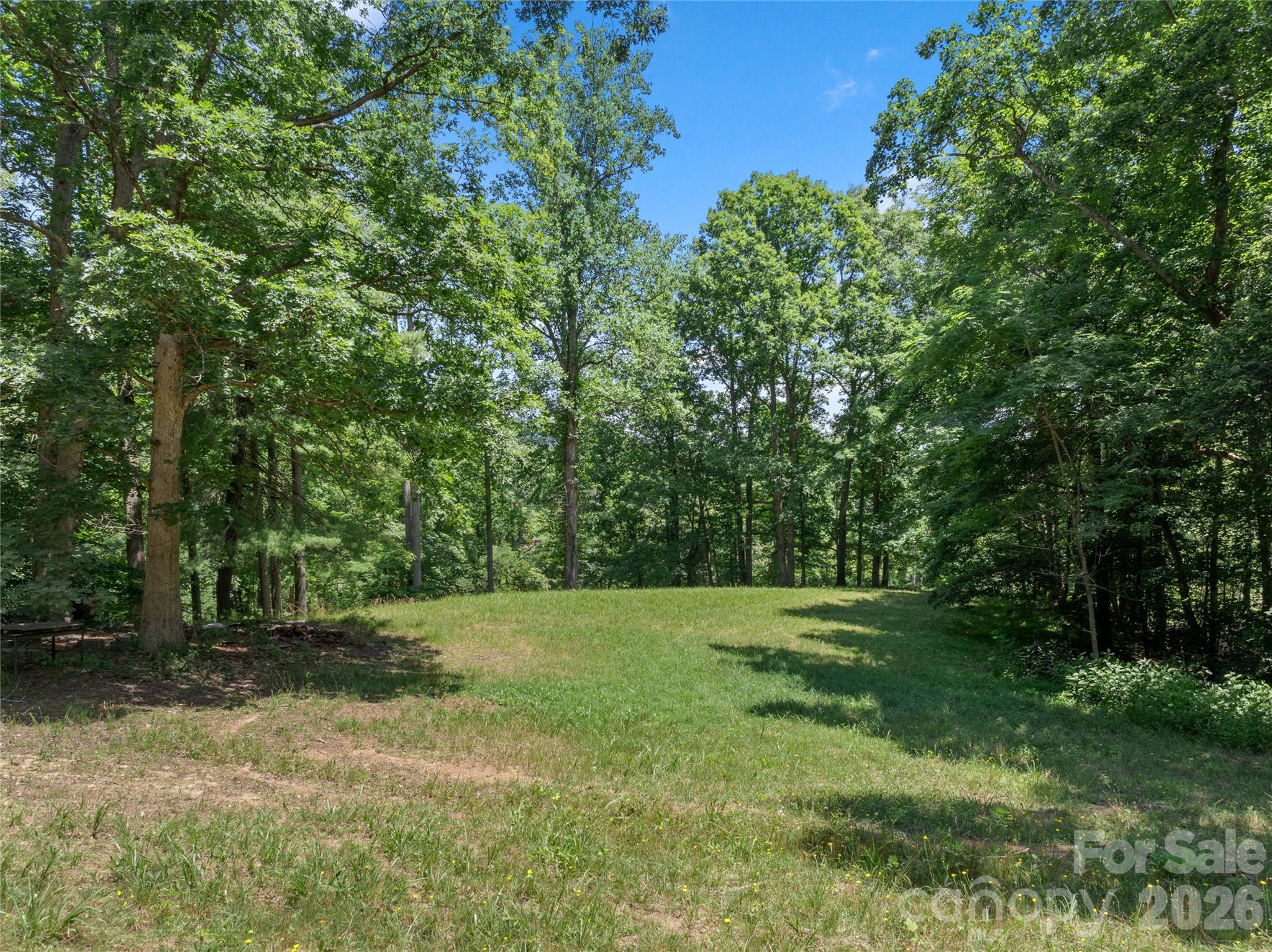 563 Burgess Road Mill Spring, NC 28756 - Photo 27 of 43
