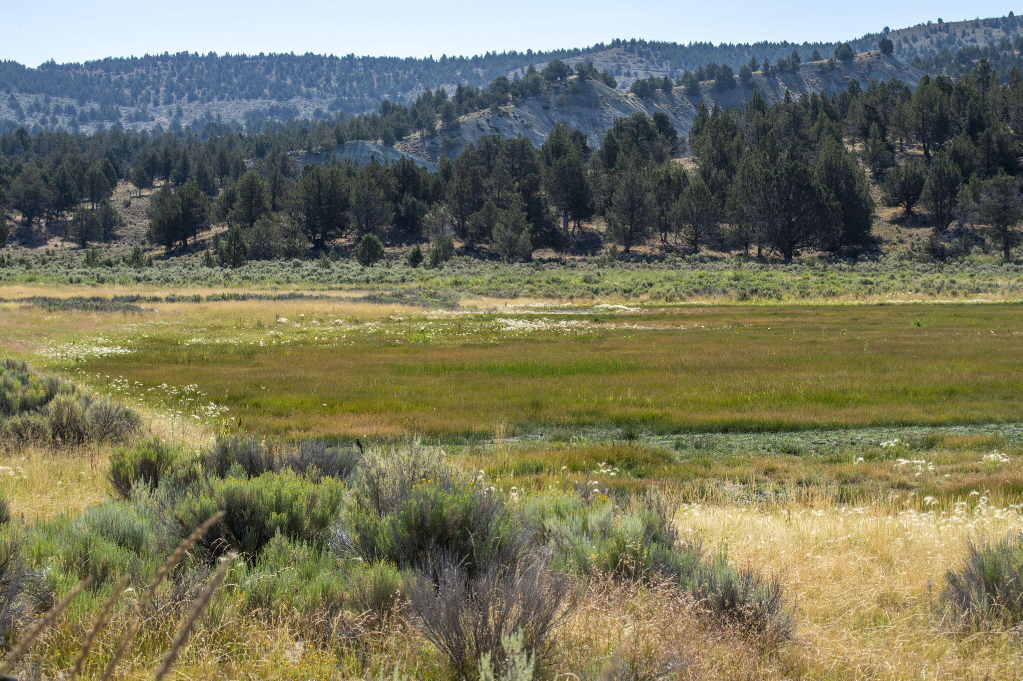 32500 Tackman Road Prineville, OR 97754 - Photo 36 of 112