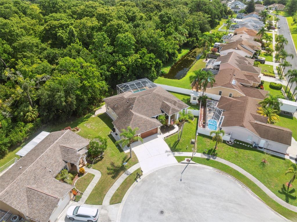 8125 Setters Point Drive New Port Richey, FL 34653 - Photo 28 of 58 Aerial View