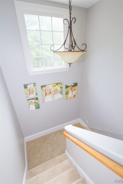 107 Newington Circle Anderson, SC 29621 - Photo 23 of 40 Gallery Image 23